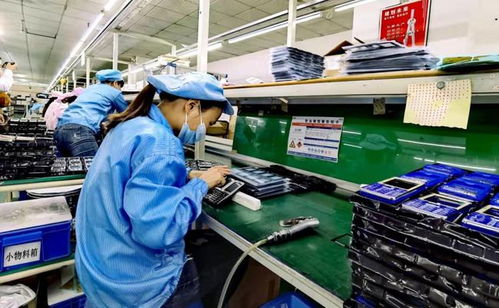 在深圳工厂里,我们找到了淘特的 增长密码